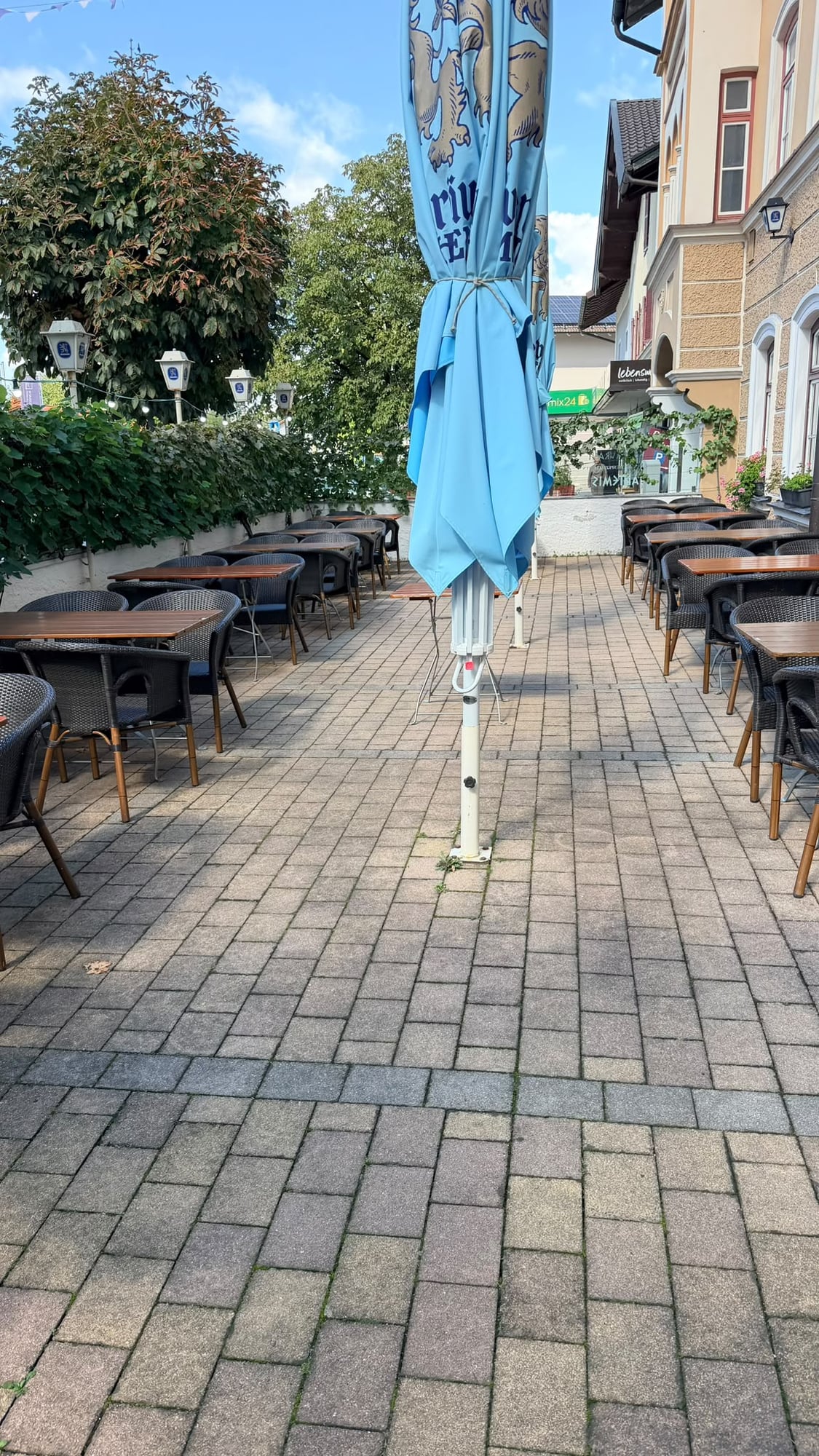  – Artemis - Erfolgreiches Griechisches Restaurant