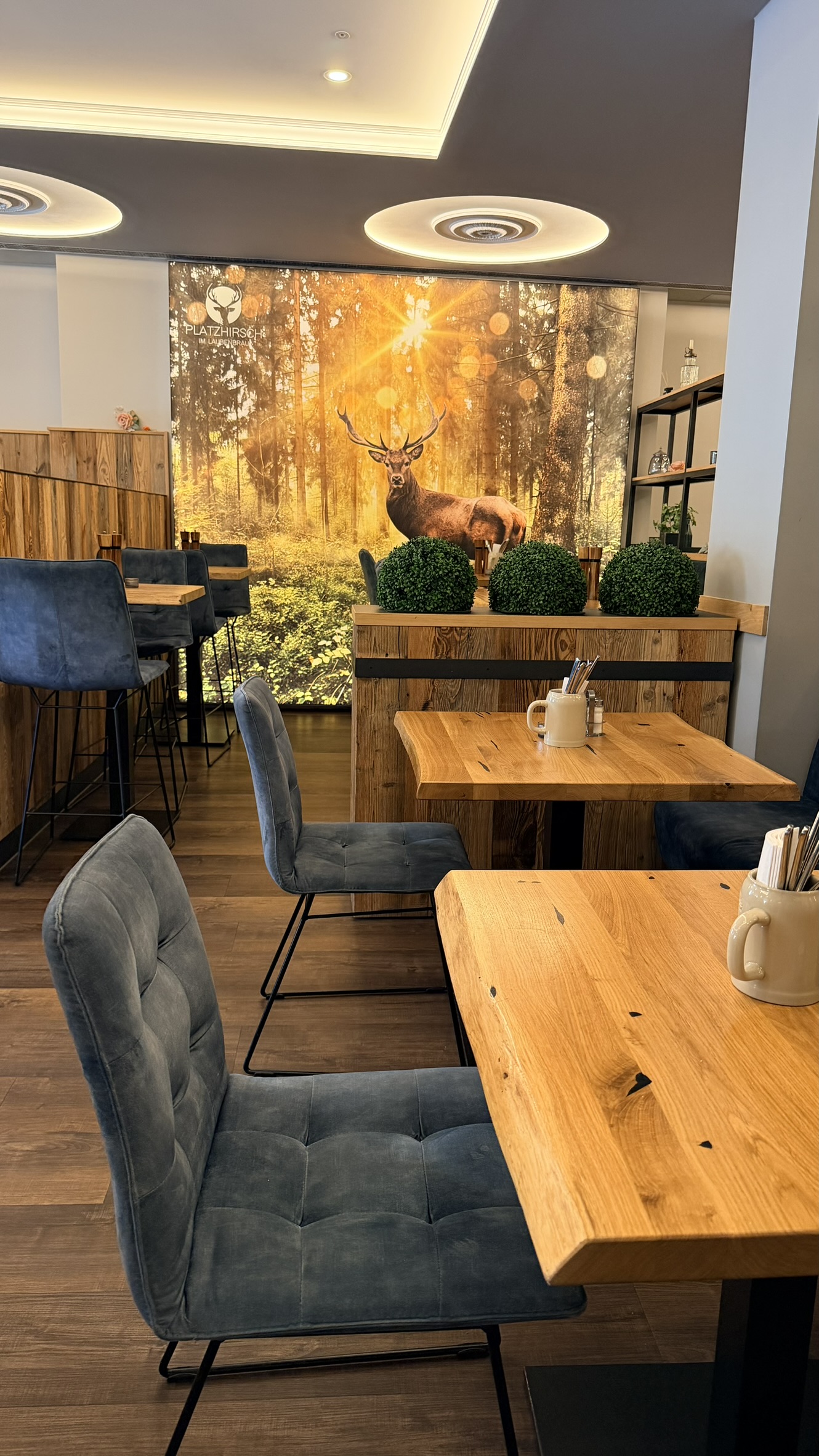 Bild 5 – Platzhirsch Freising for Lease – Succession on Marienplatz