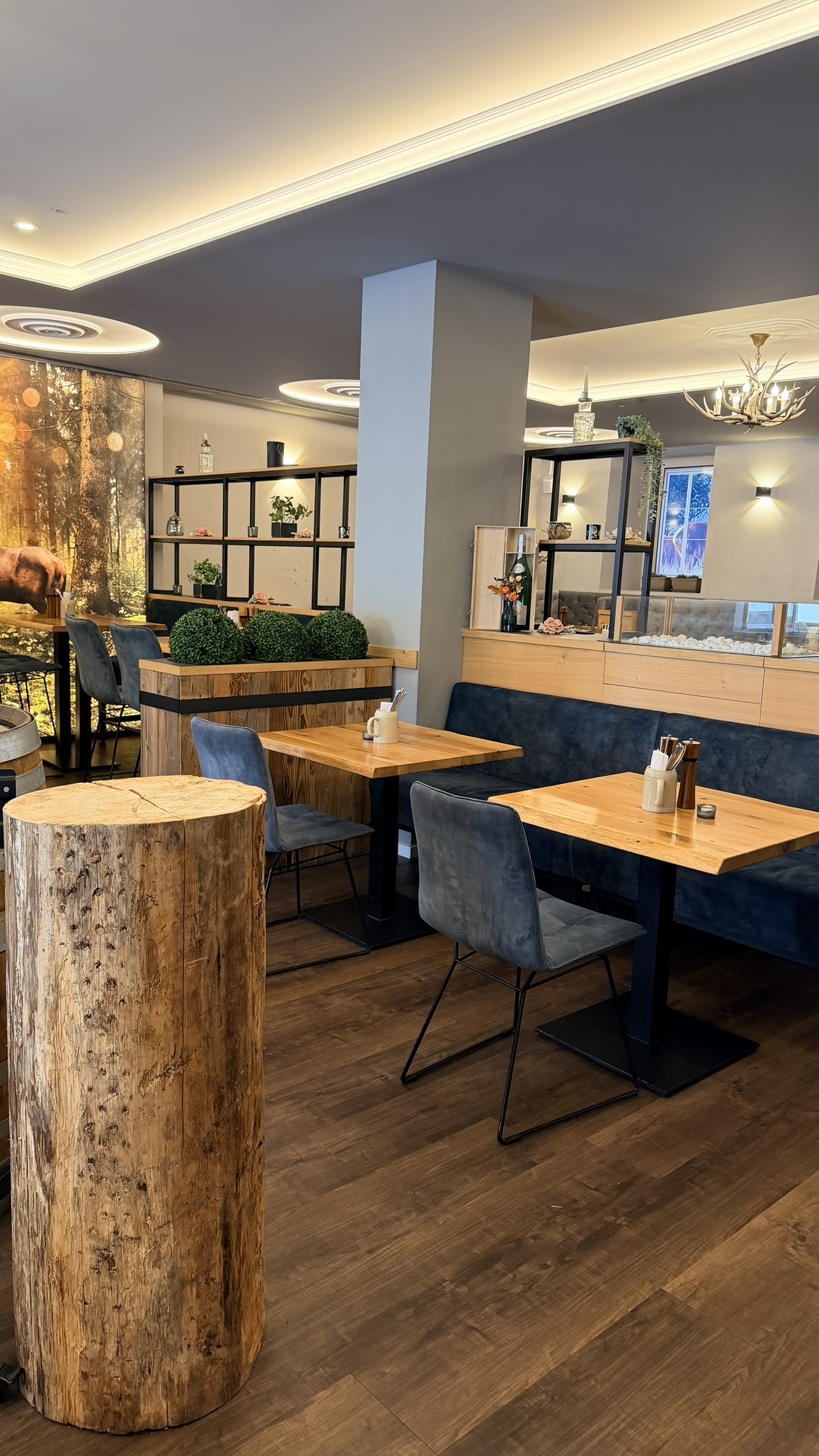 Bild 7 – Platzhirsch Freising for Lease – Succession on Marienplatz